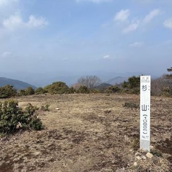 杉山到着、数年ぶりだけど無雪期は多分初めて