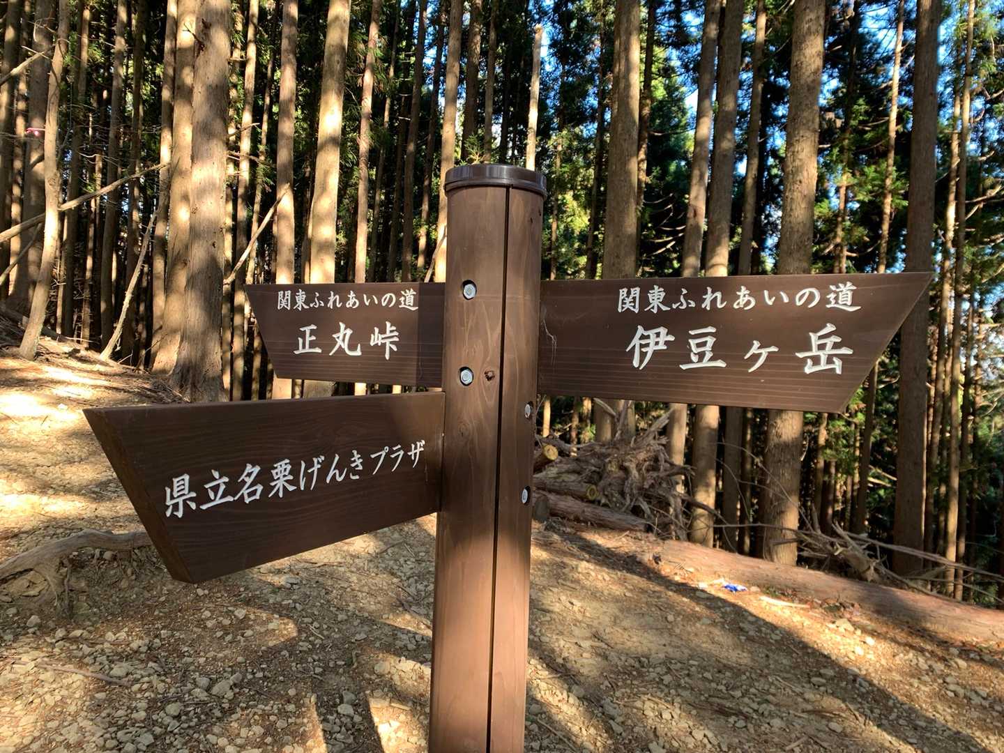 ゲンキプラザから伊豆ヶ岳に向かいます🤨