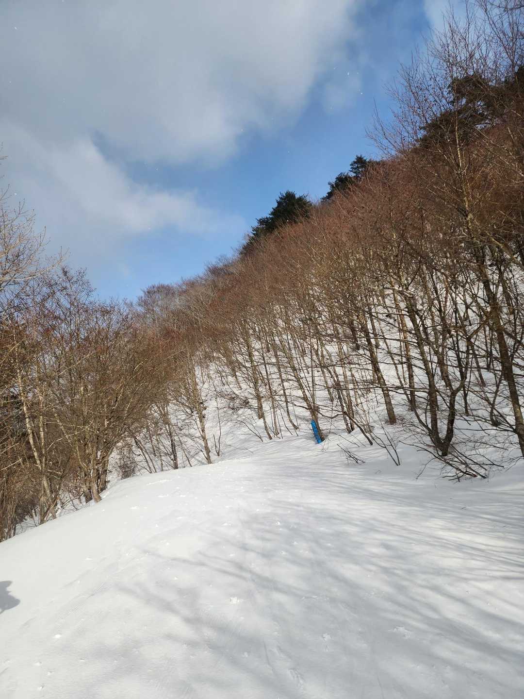 鉛山-駒頭山 往復コースの写真