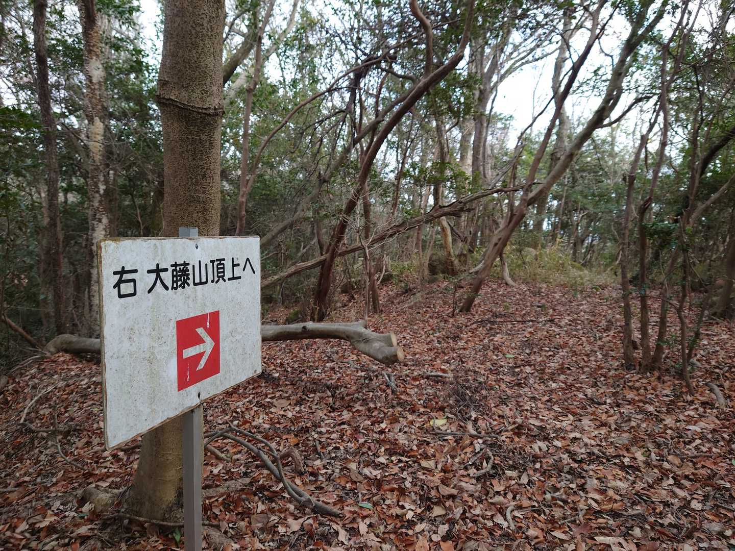 山頂も近いかも…　頑張ろう💪