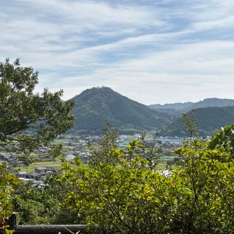 高城山が見える
山頂部分は波多野秀治の八上城址
