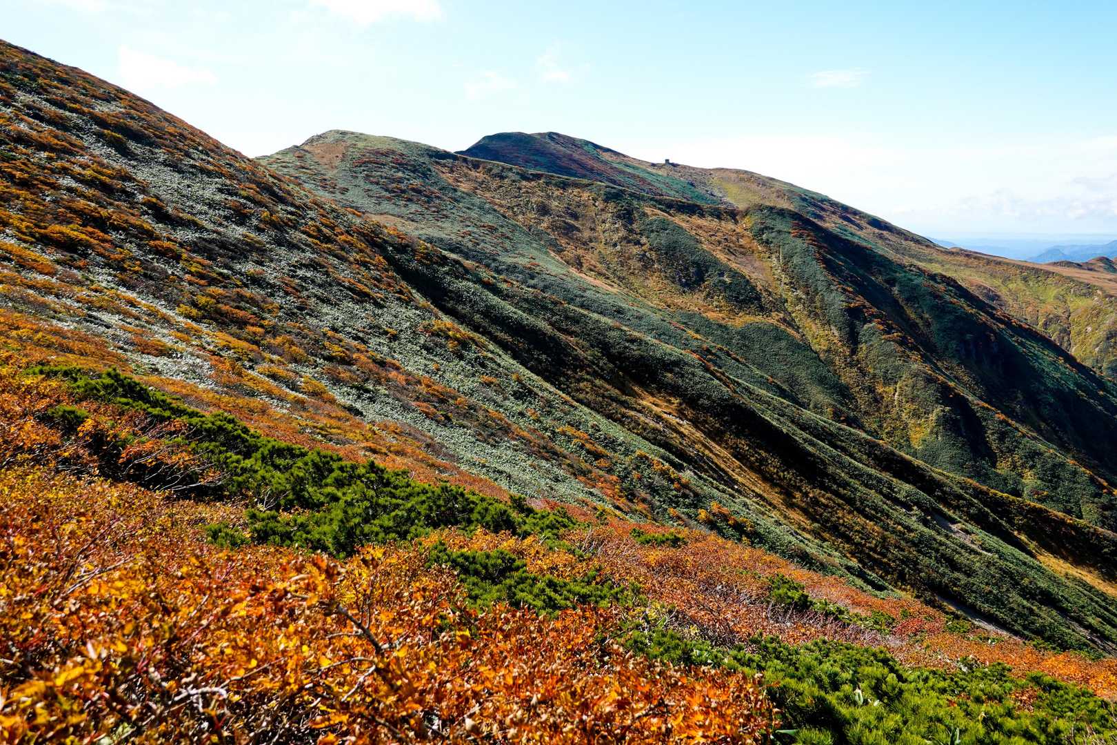 泡滝登山口-以東岳登山口-以東岳-オツボ峰 往復コースの写真