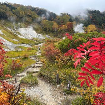 下山後に🚶
野天風呂は大勢いたので諦めて♨️内湯へ