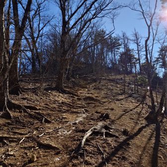 この辺は気持ちよく歩けます
