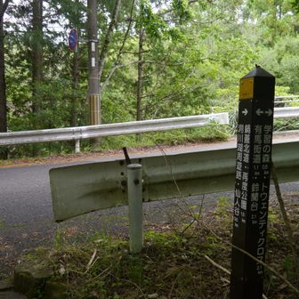 ここに出てきた