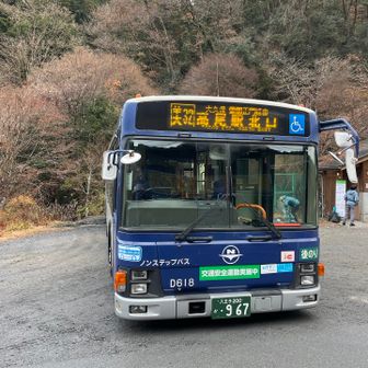 バスだけ苦手🚌
ちょっと酔う