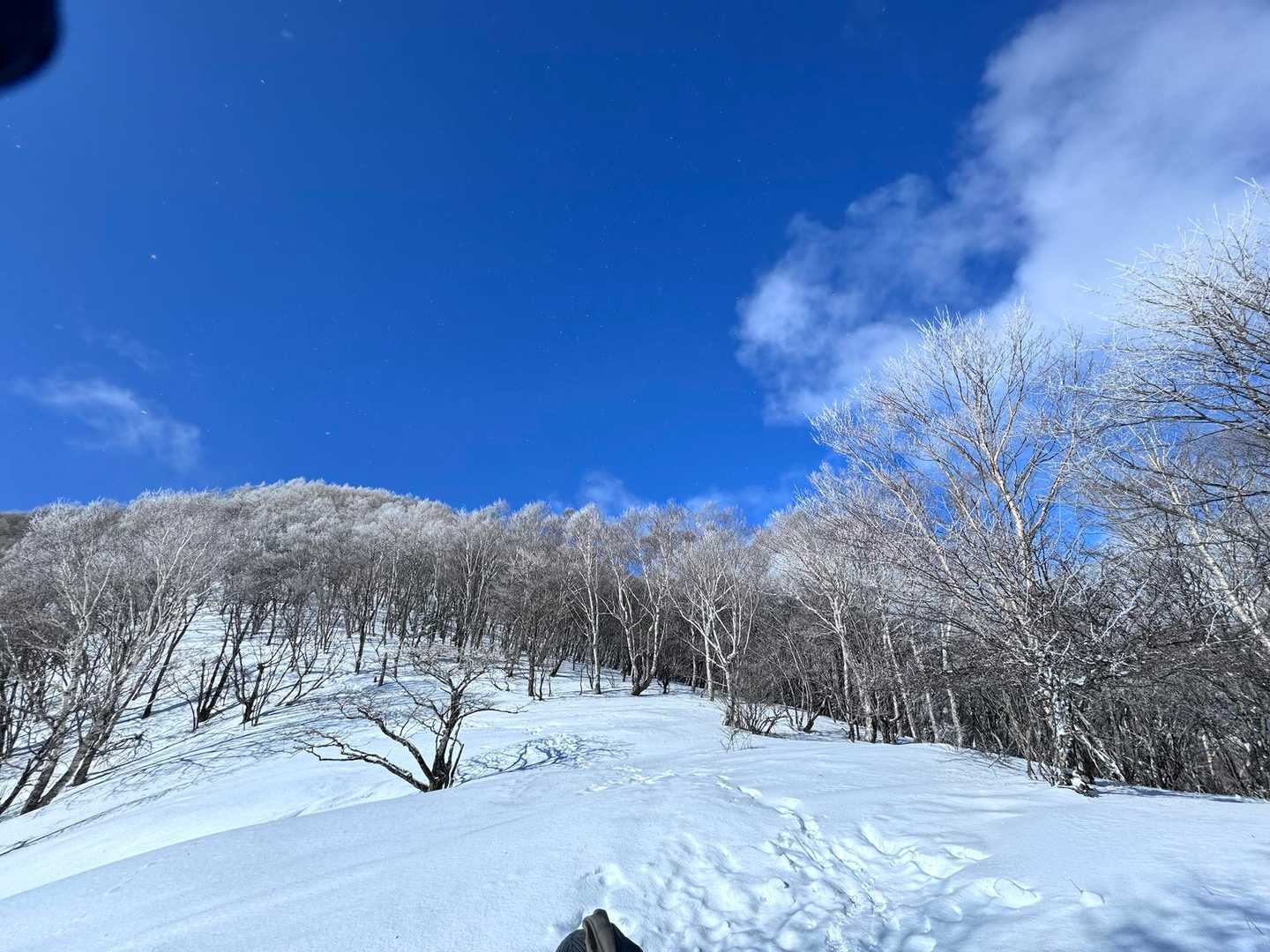 ここからワカン付けます