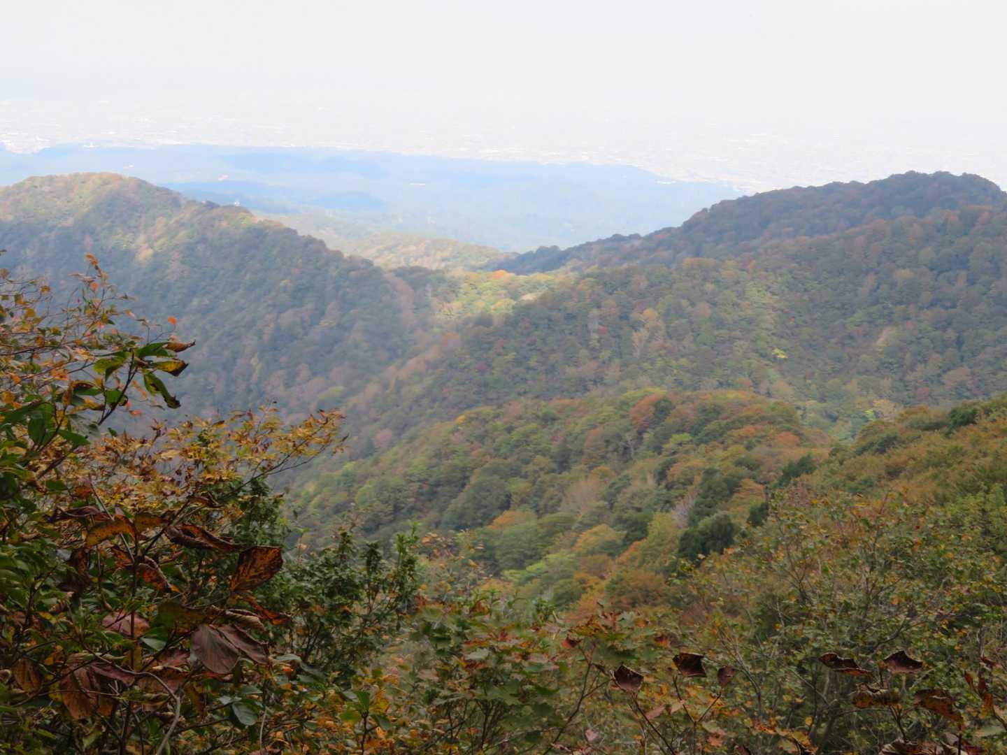 遠くの山々‼️😃💕今から紅葉🍁ですね‼️😃💕