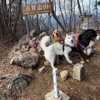 古賀志山登頂👍
沢山のハイカーさんで賑わってました😊
