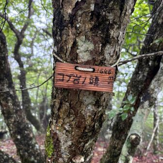 コブ岩ノ頭。観音平山と違って、こちらは読める。
そんなに大きな岩があるとは思えなかったが…