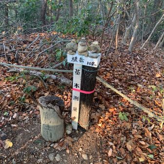 いつもの標識②