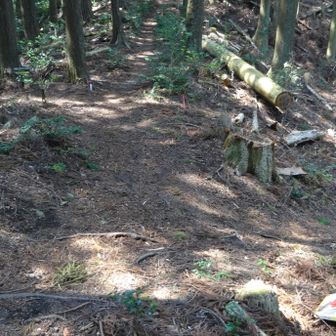 船戸登山口に向かって左側へ降りて行きます。