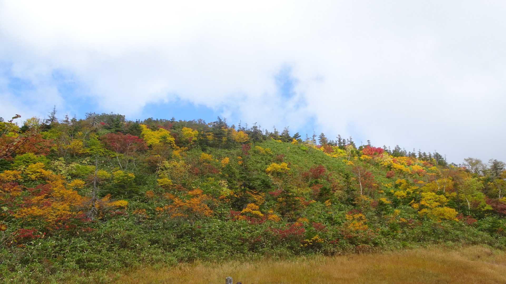 北野口登山口-風吹岳 往復コースの写真