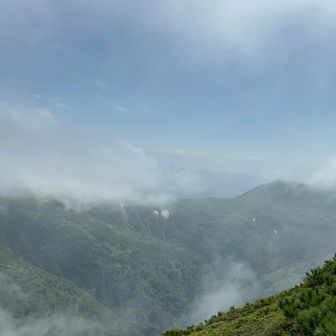 北海道らしい景色
