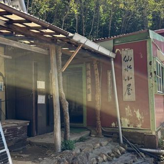 こぢんまりとした仙水小屋
宿泊者専用な感じですが、
キンキンに冷えた南アルプスの天然水が
ホースから豊富に流れています 𓂃𓈒𓏸