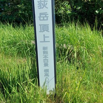 こちらも山頂標識。立派である。