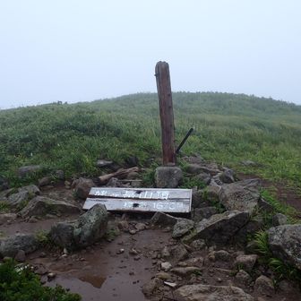姥ヶ岳着✌️
風が出てきたし雨も本降りになってきたのでレインウェア着用