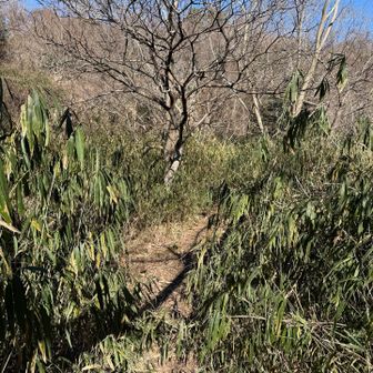 🚶‍♀️‍➡️