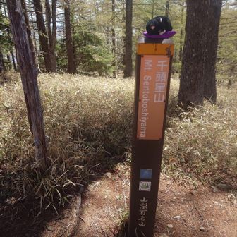 少し前まで
センズ　と思っていました
展望がないのでもう少し先まで頑張る