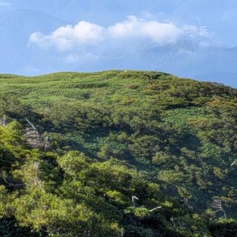 三ノ峰の山頂からも越前三ノ峰の標柱が見えます。