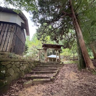 今回も非常に薄ら寂しかった不動寺でした。
