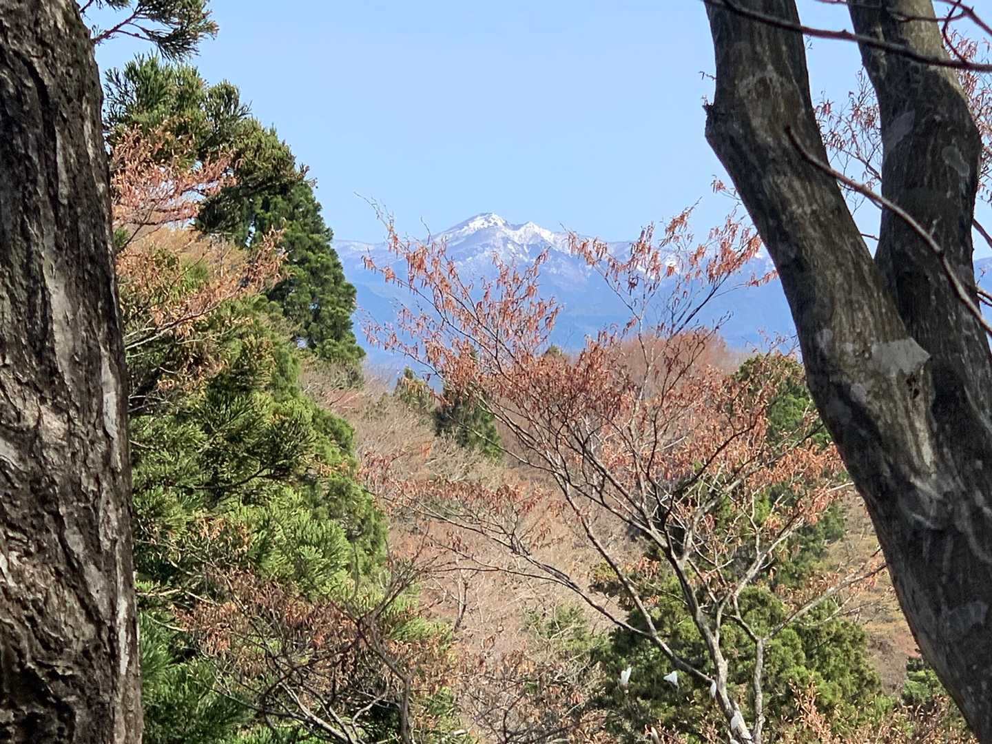 登山道からも、白神山地(藤里駒ヶ岳)が見えます
