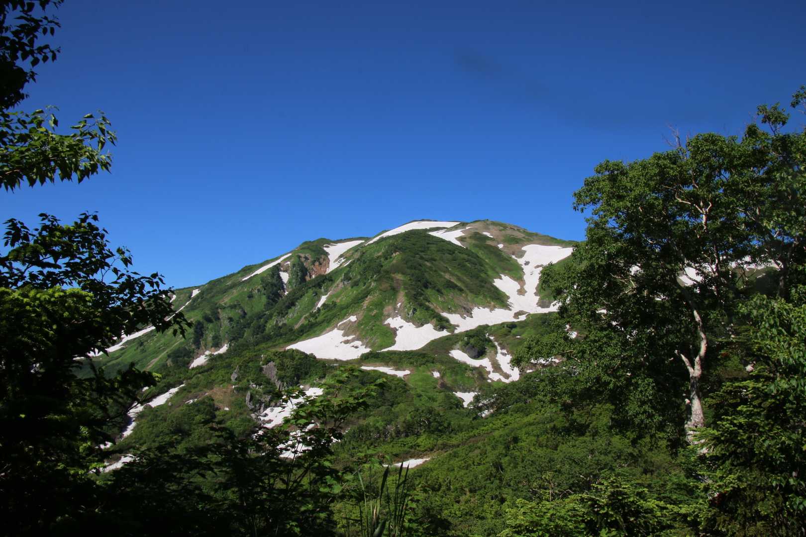 振り返って。朝日岳の雄姿・・・デカい山です