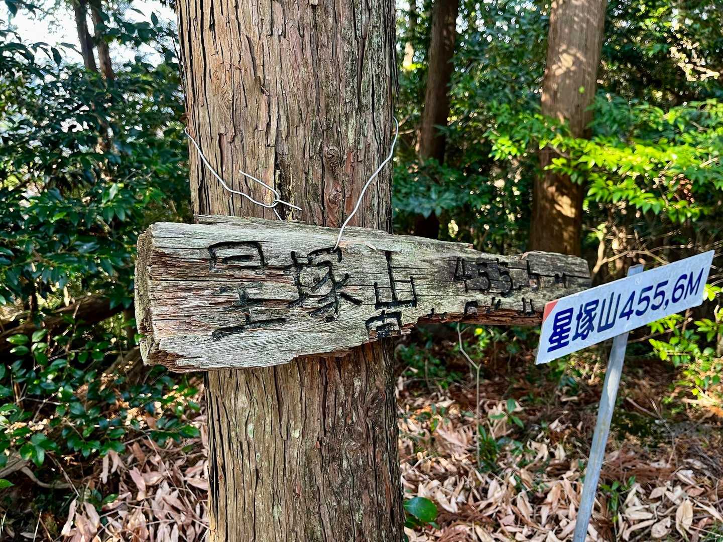 星塚山 周回コースの写真