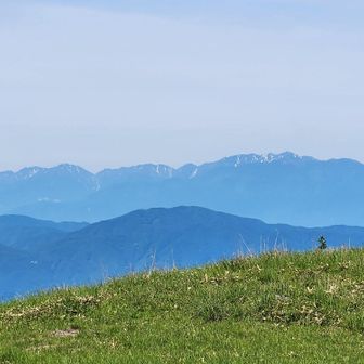 中央アルプス✨️
手前に守屋山🐰