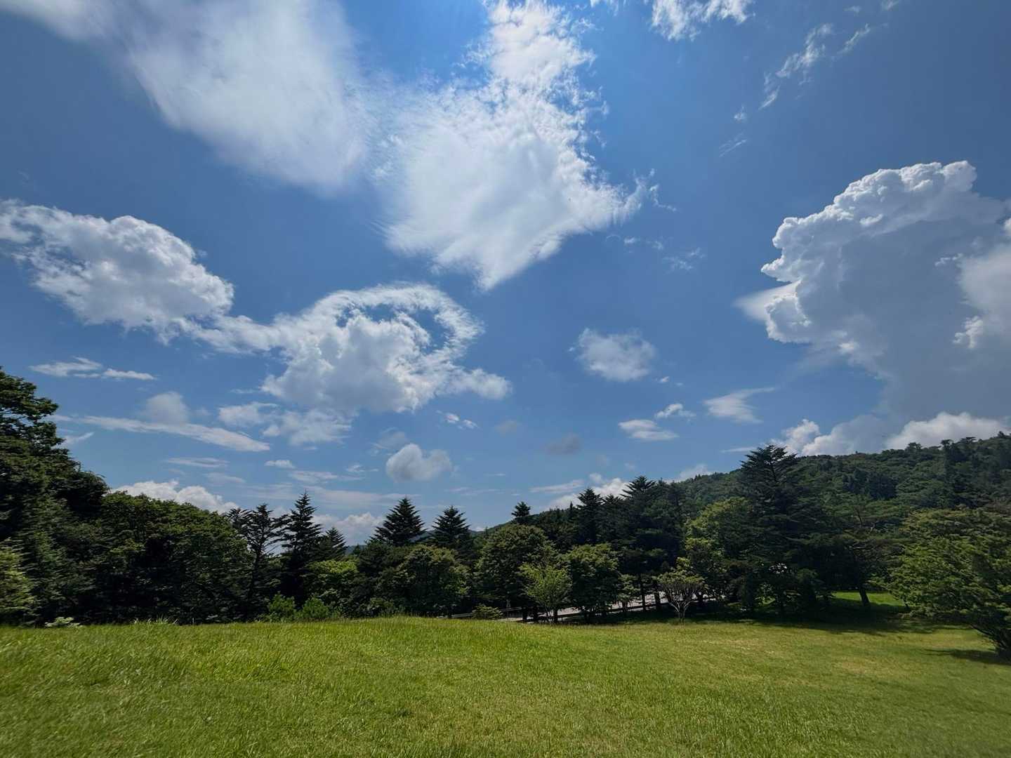 天狗棚-1200高地 周回コースの写真