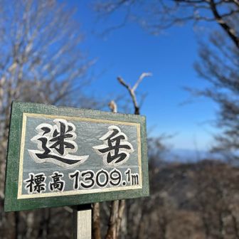 ▪︎迷岳⛰️山頂▪︎