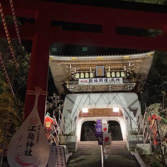 山から海へ
寺社巡りと夕日
華やかなイルミネーションとチューリップ
楽しい一日でした