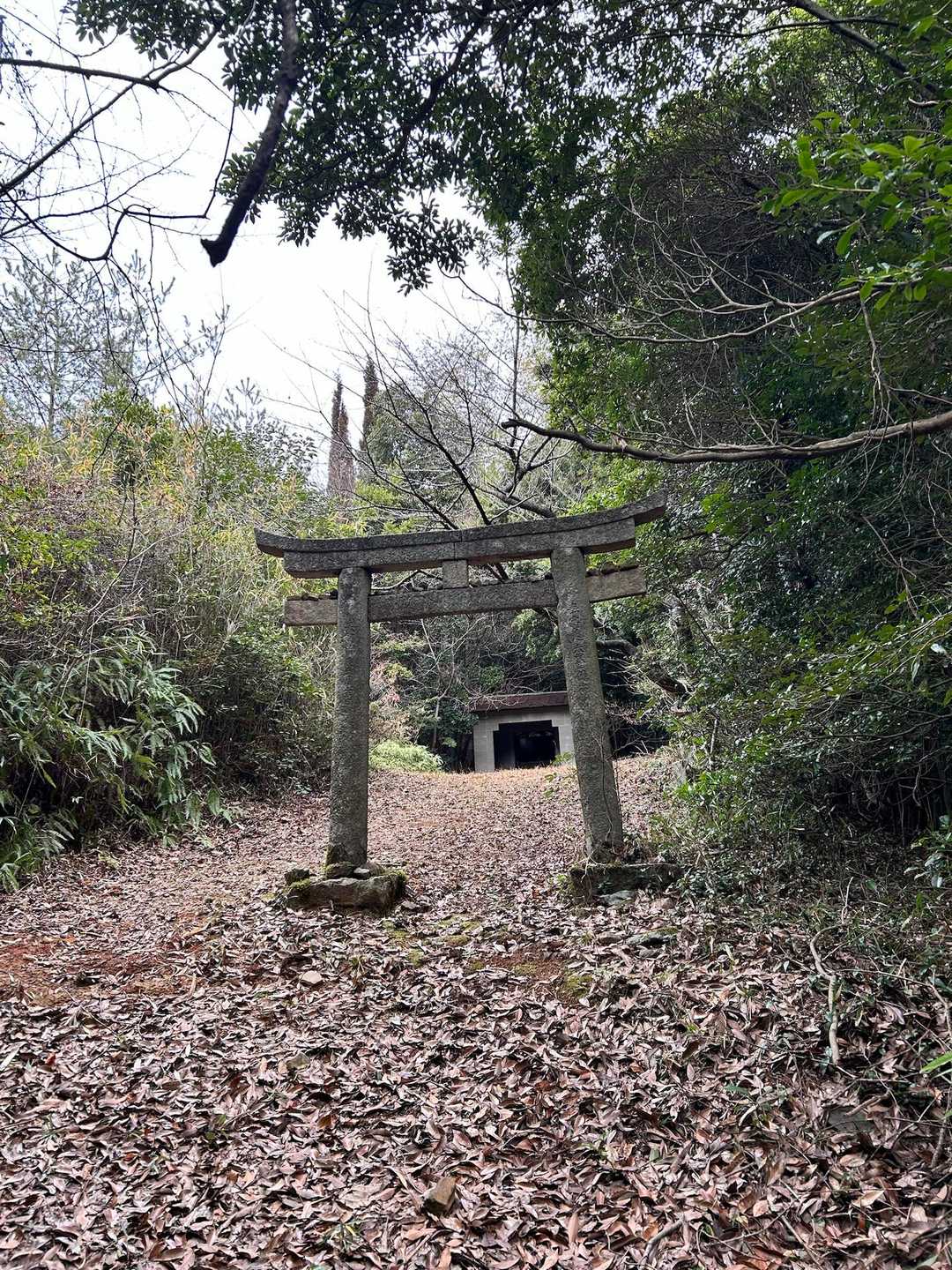 鶴羽山 周回コースの写真