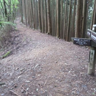 下山は違うルートで。ロックガーデン方面へ