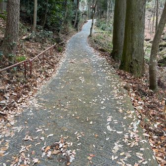 再びコンクリート＝傾斜キツイ笑