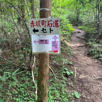 帰りは青崩で