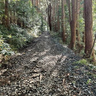 峠から難台山へ
砂利道です