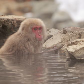 syn@二上山360マップPRJ