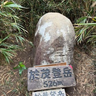 眺望はありません（笑）
手前の鉄塔を右に行くと見晴らせるところあり