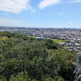 展望ええねんけど、暑いし早く終了したいので〜そそくさ🤣