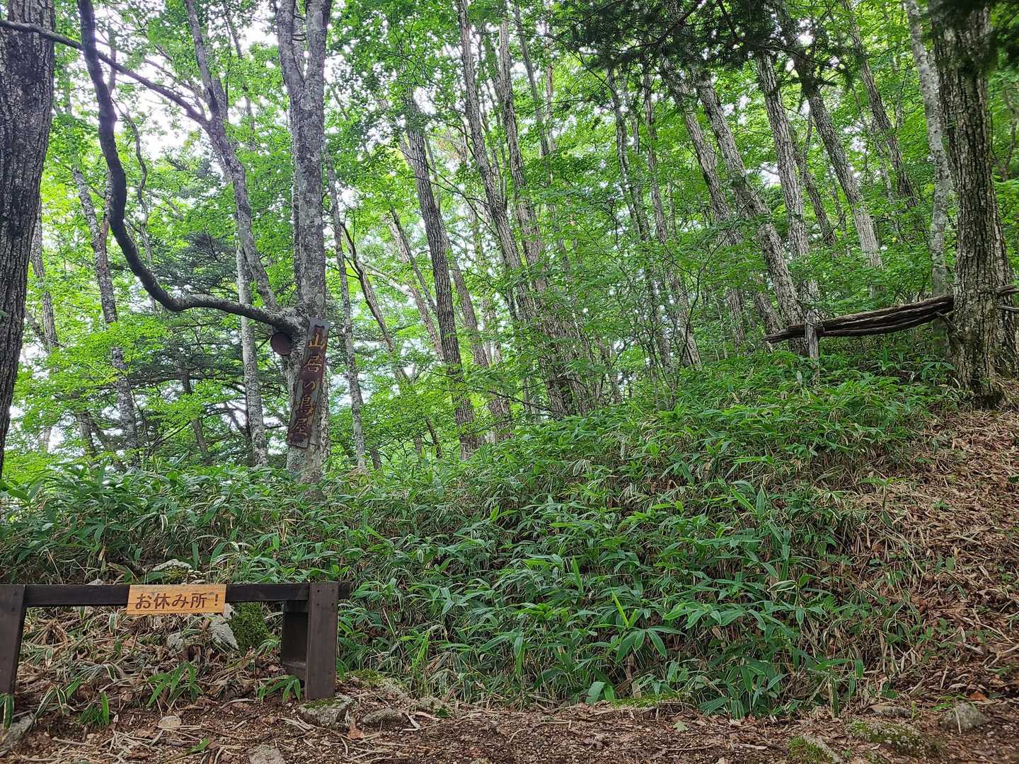 やっぱ…
最初は塩焼きで食べてみたいな〜🐍とか考えながら必死で登る