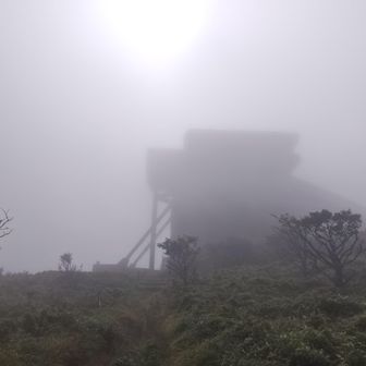 晴れそうな予感。