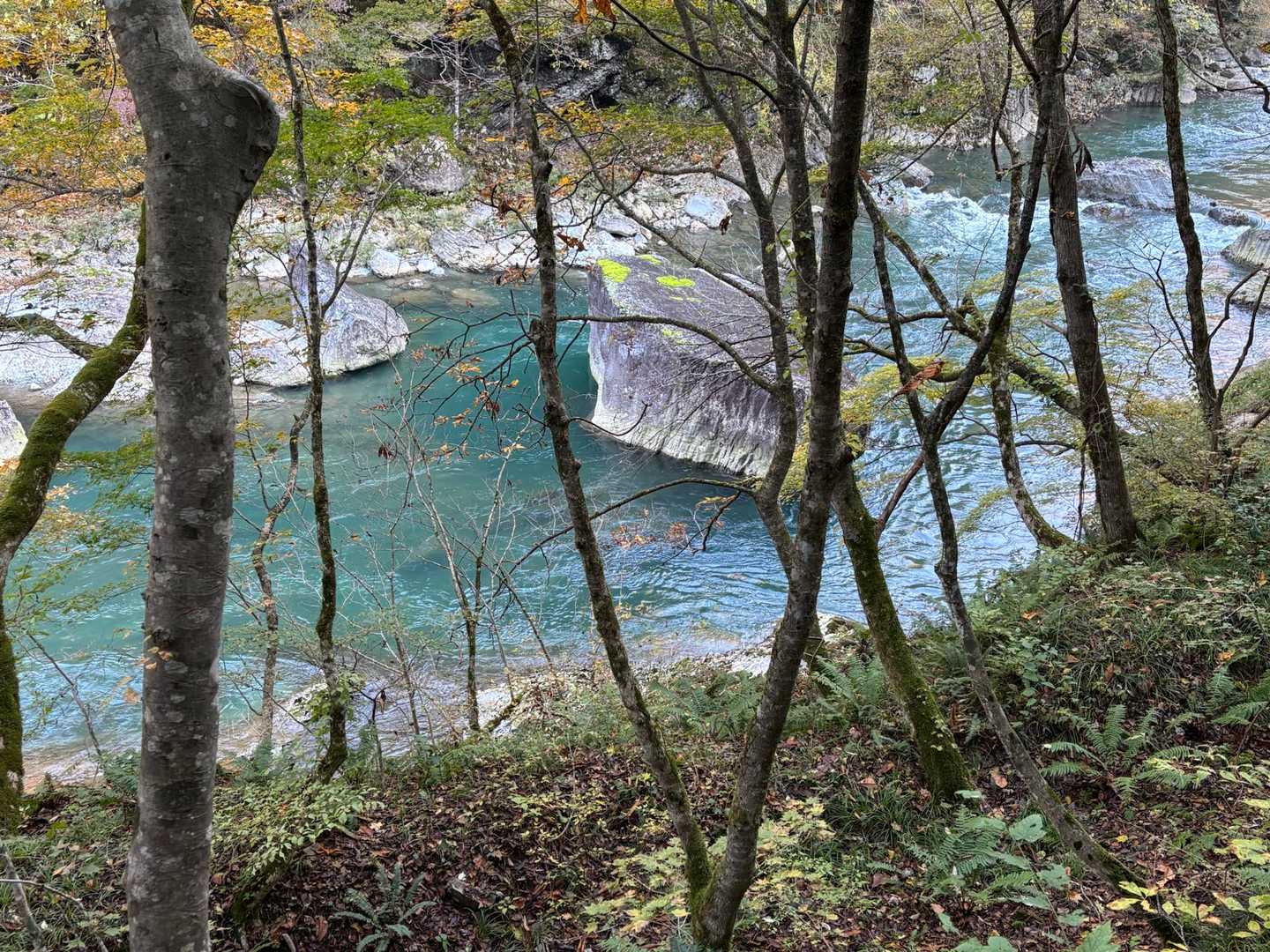 川の中に菱形の岩🪨