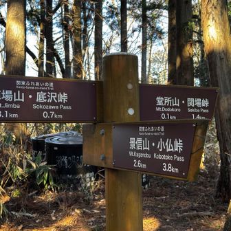 結構順調に
歩いてます❣️