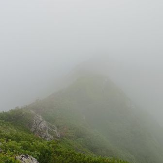 残念ながらガスってきた