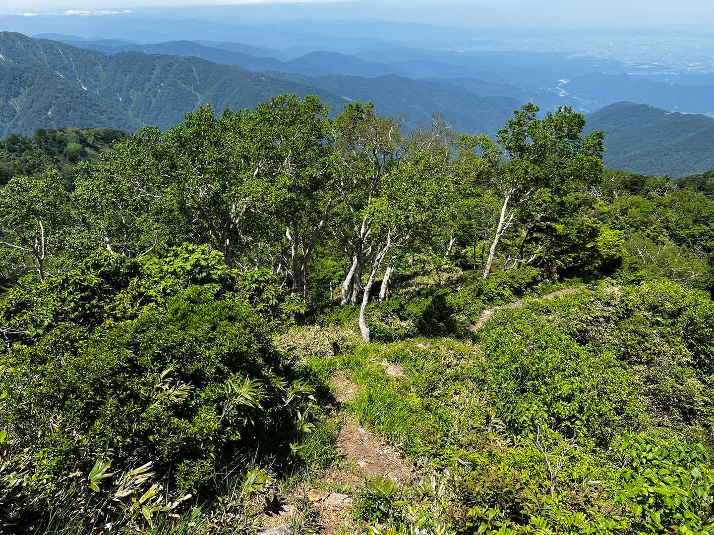 下山します🥵暑っ