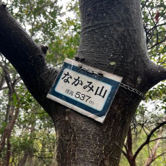4座目なかみ山⛰️