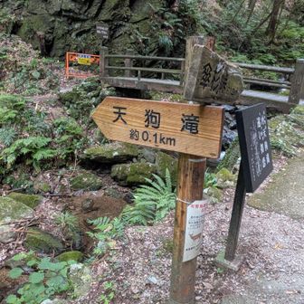 朝、滝だけ撮影しました。この先に天狗滝