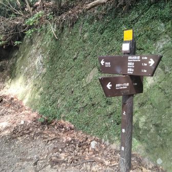 早朝から沢山の登山者で賑わう人気のお山でした😊