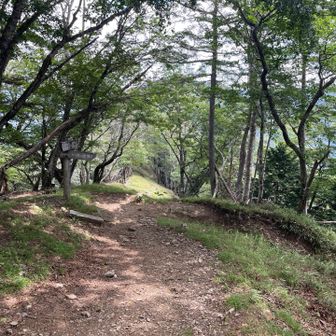 山腹の広い尾根です。